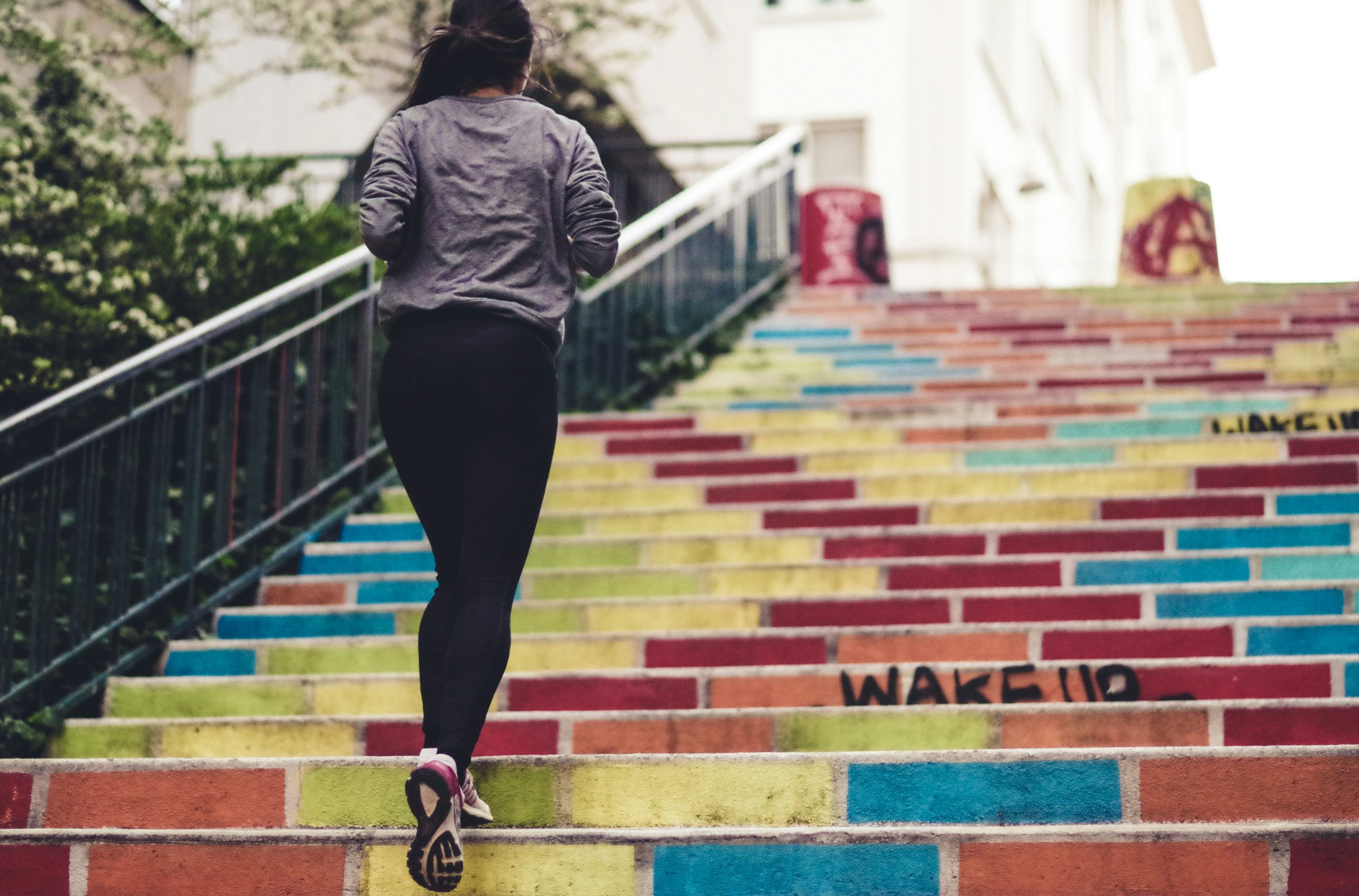 Günstige Laufschuhe für Einsteiger: Ohne Budget-Stress ins Laufvergnügen